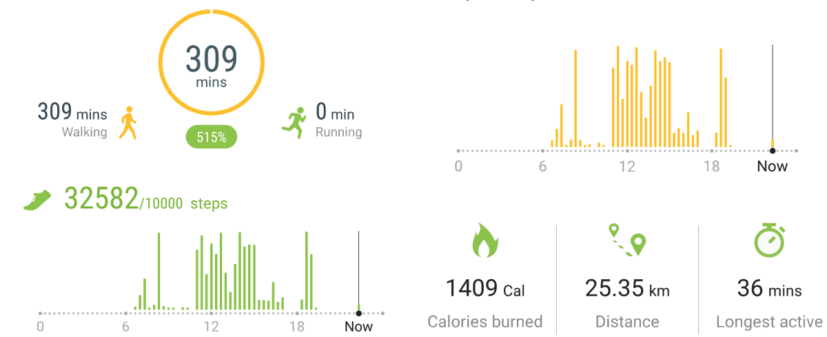 Activity report Sunday May 6