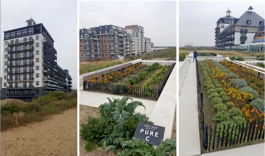 Strand Hotel Cadzand