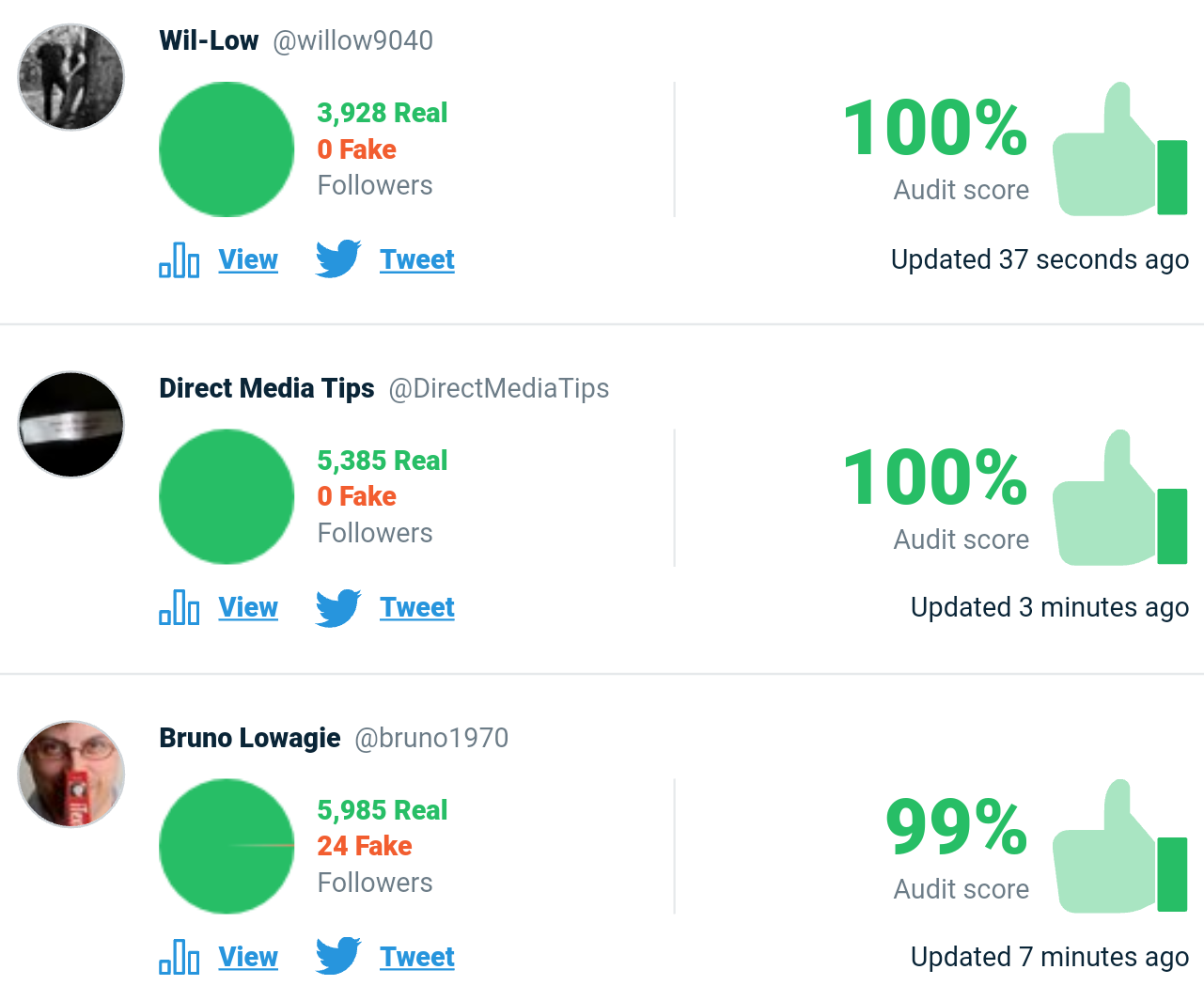 TwitterAudit results: bruno1970, willow9040, directmediatips