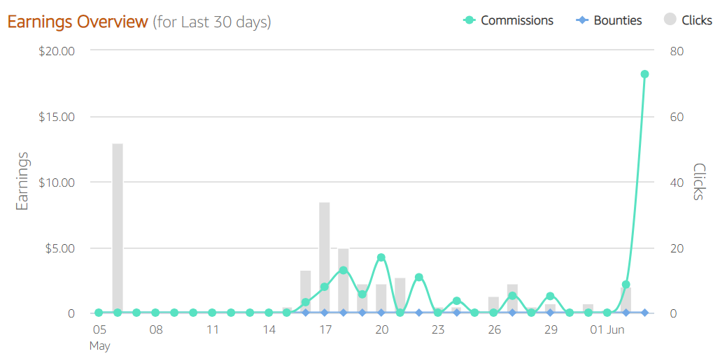 Amazon Affiliate Earnings Overview